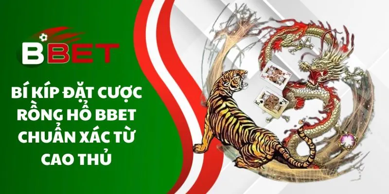 bi-kip-dat-cuoc-rong-ho-bbet-chuan-xac-tu-cao-thu