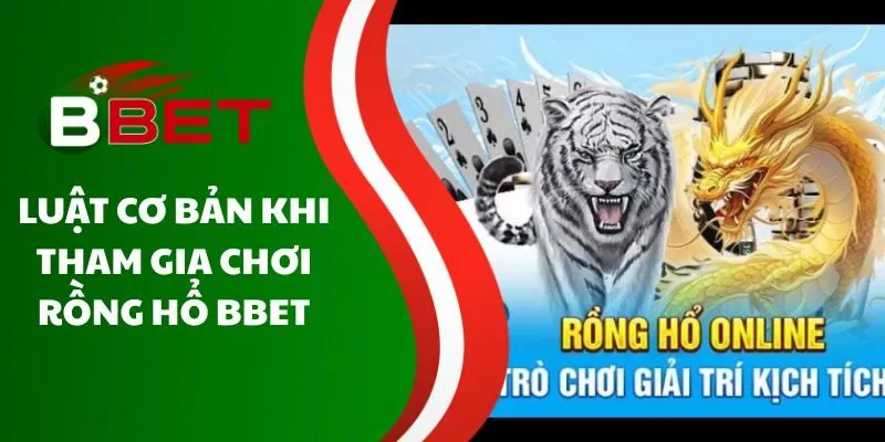 luat-co-ban-khi-tham-gia-choi-rong-ho-bbet