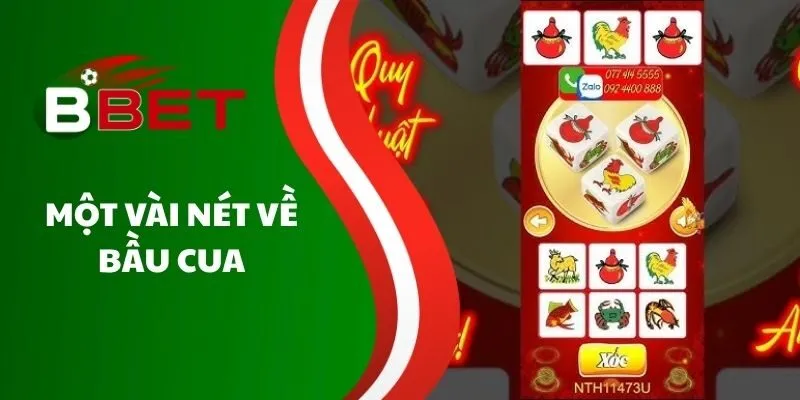 mot-vai-net-ve-bau-cua