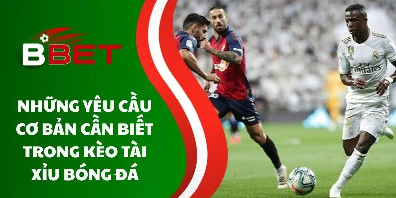 nhung-yeu-cau-co-ban-can-biet-trong-keo-tai-xiu-bong-da