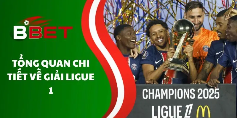 tong-quan-chi-tiet-ve-giai-ligue-1
